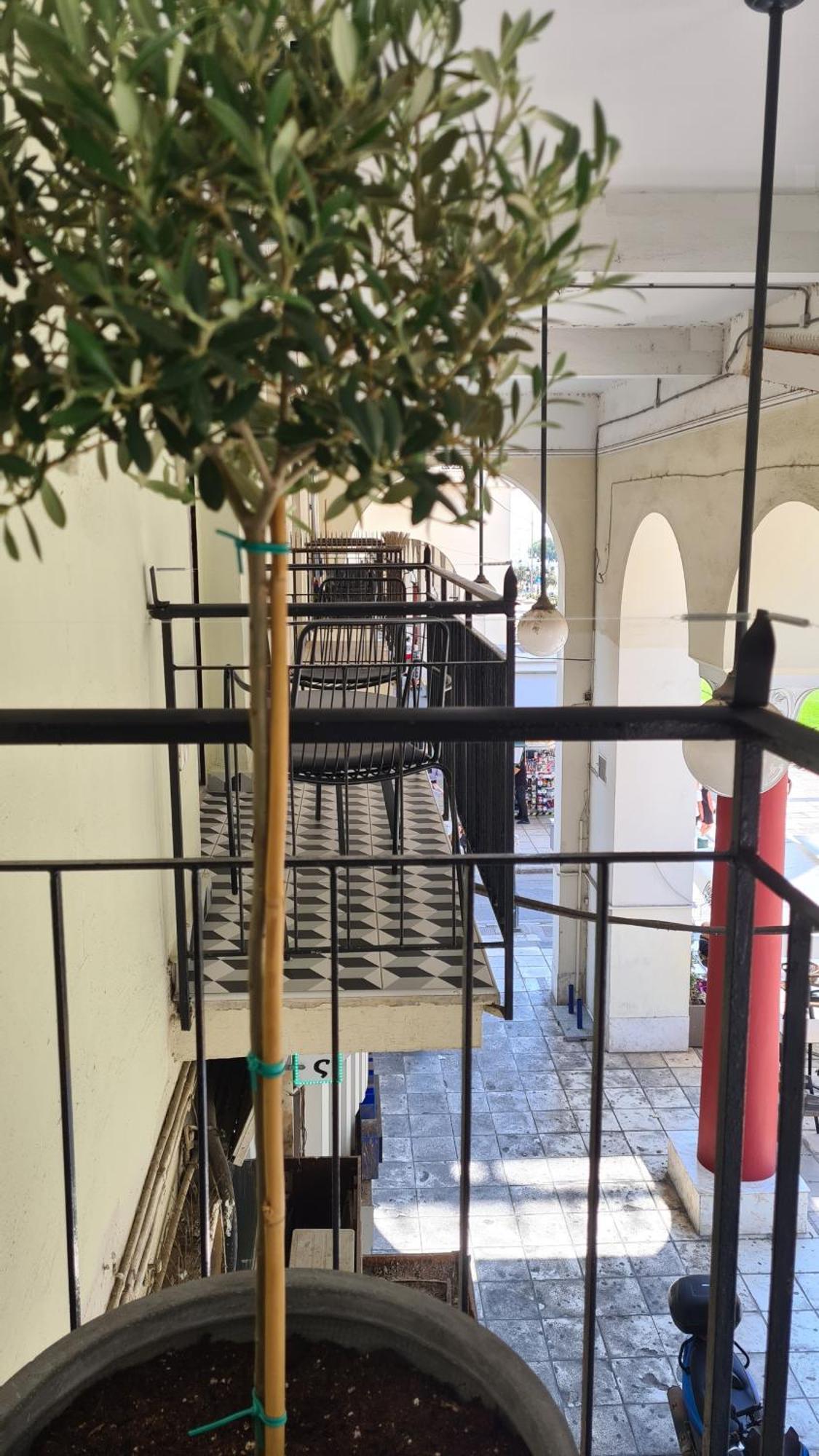 Μerάκι Aristotelous Sq Thessaloniki Buitenkant foto